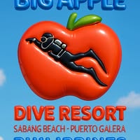Big Apple Dive Resort